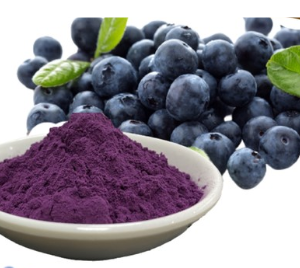 BILBERRY EXTRACT