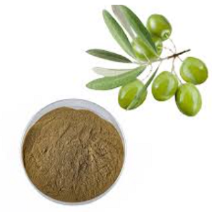 OLIVE LEAF EXTRACT